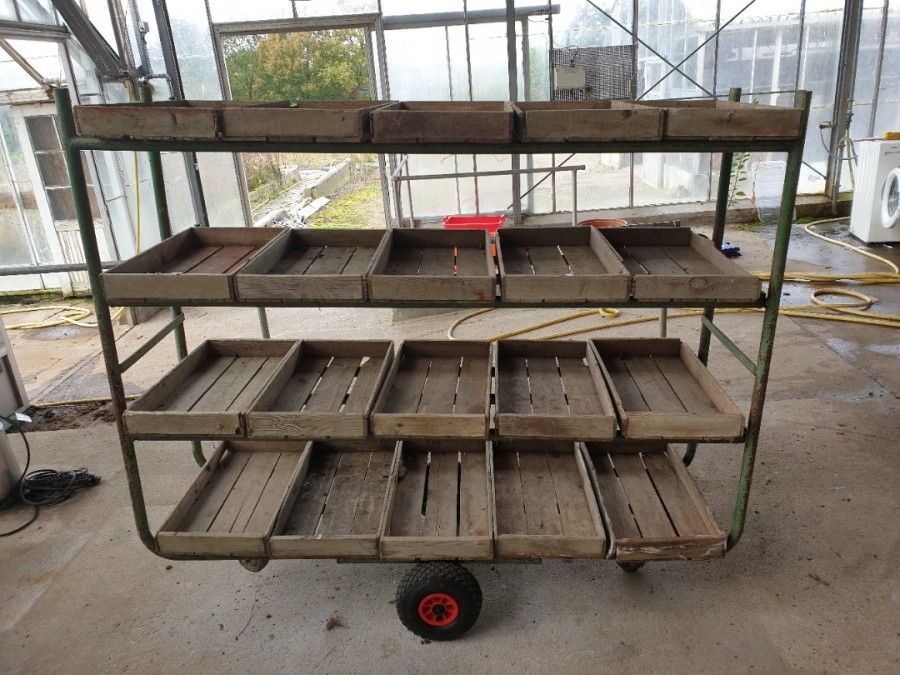 Plante/udstillingsvogn ( Antik )