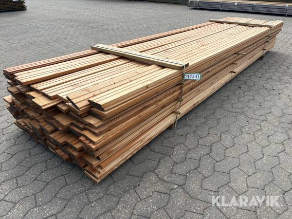 Sternbradder Lærk - 130 styks