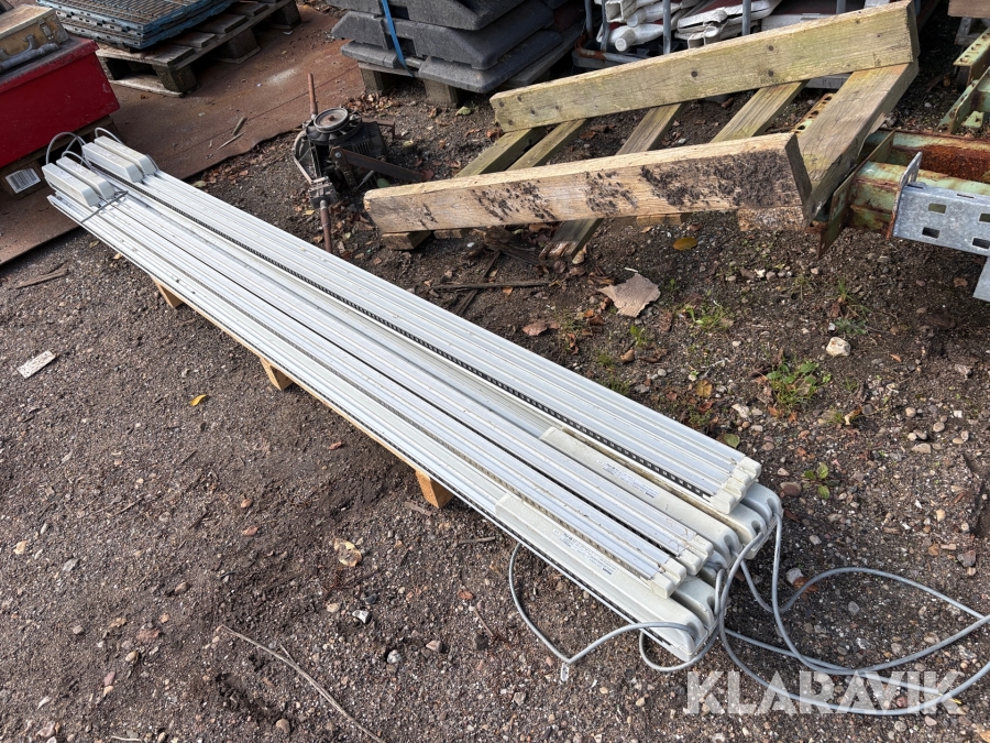Fiskelamper Philips GreenPower LED – 10 styk