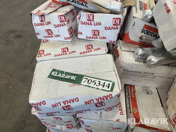Dana Lim Soudal ca 50 kasser