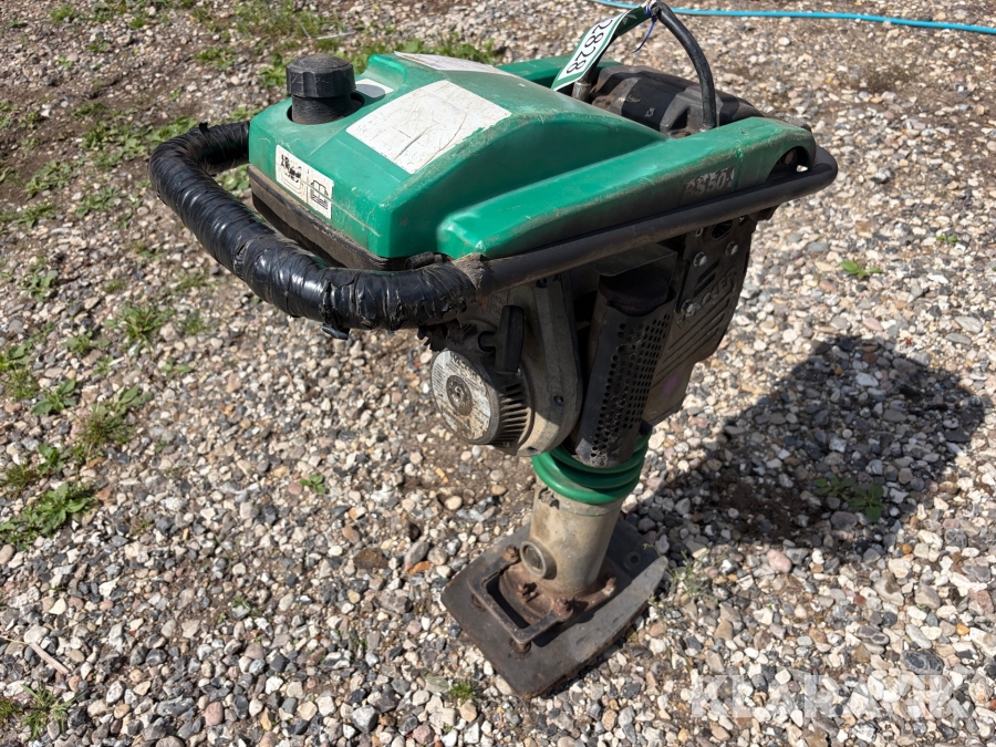Jordloppe Wacker BS50-2 - 1 styk