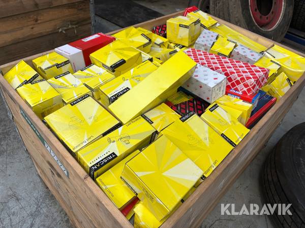 Assoteret lot med fjedrebenslejre Triscan