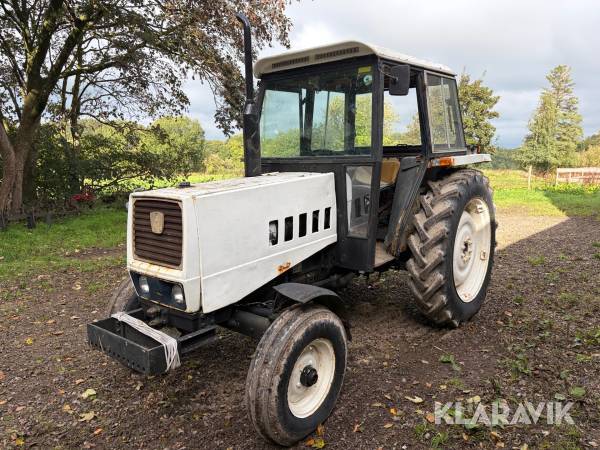 Veterantraktor Lamborghini R 654
