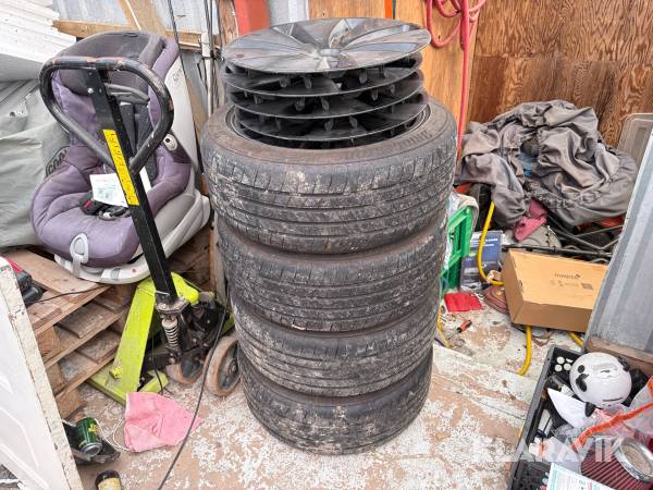 Sommerhjul Bridgestone Turanza til Tesla Model 3 - 4 styk