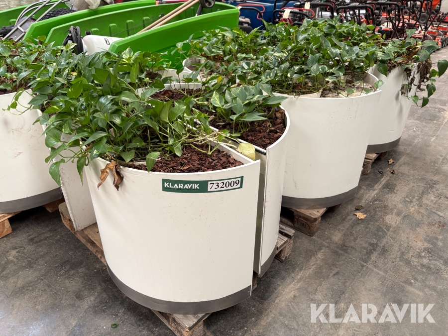 Plantekasser i træ - 17 styk