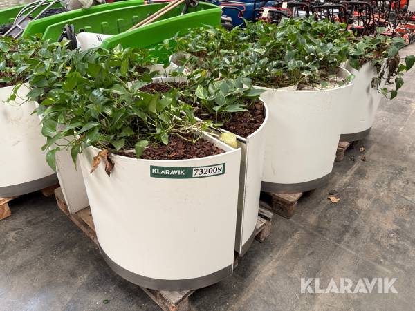 Plantekasser i træ - 17 styk