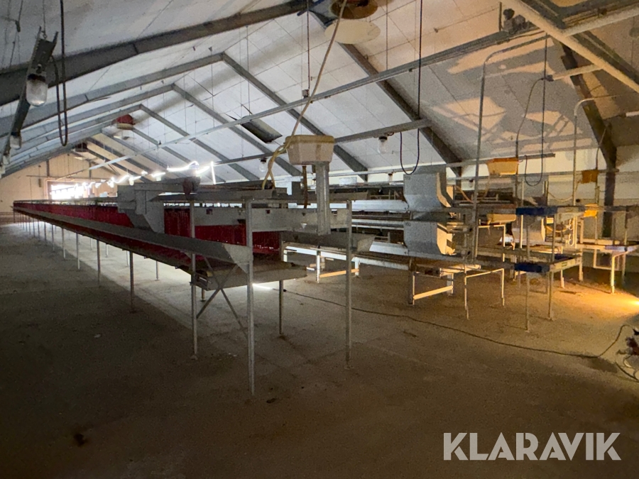 Produktionslinje Big Dutchman + Landmeco æglægger system