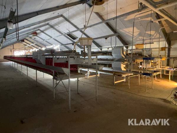 Produktionslinje Big Dutchman + Landmeco æglægger system