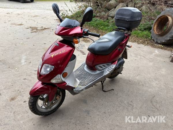 Scooter Pgo T.rex 50