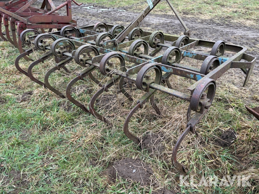 Markharve / ringharve