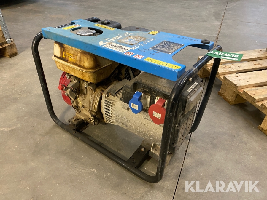 Generator Linz Electric E1S10M H