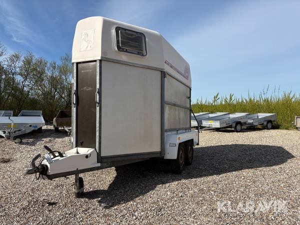 Hestetrailer RT City Line