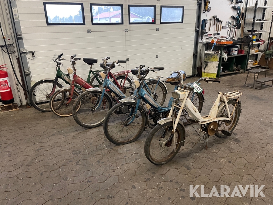 Knallert Cady 5 styk