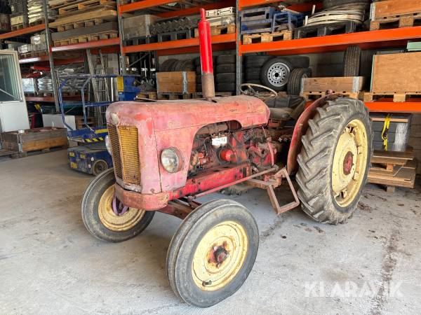 Veterantraktor David Brown 990 