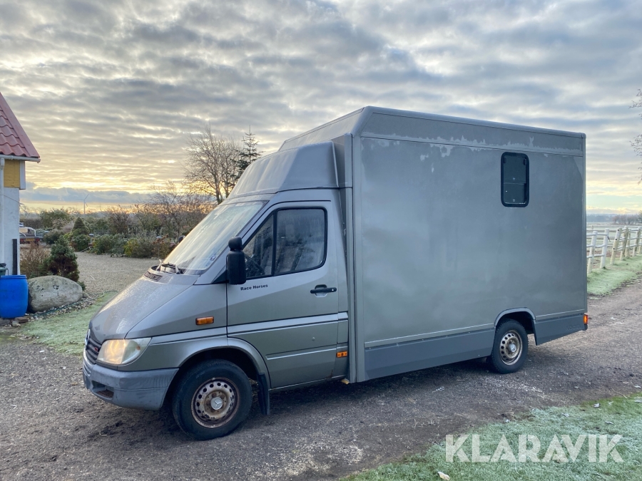 Hestetransporter Mercedes Benz 308 HORSE