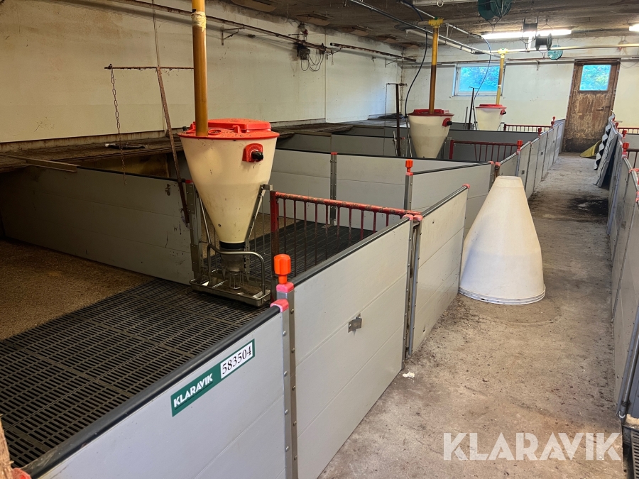 grisestier Skiold echberg 36 styk 