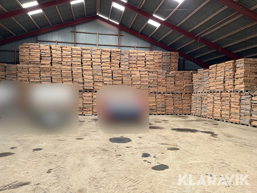 Spirekasser til kartofler 50 paller