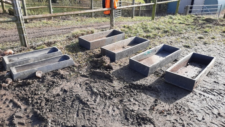 Foder trug til grise og andet