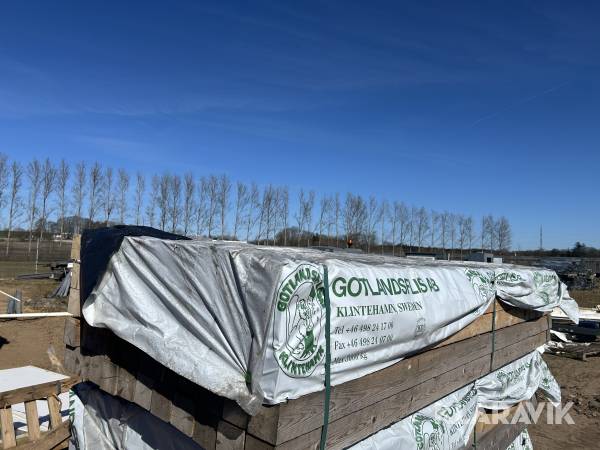 Tømmer Gotlandsflis Gran 55 styk