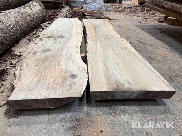 Amerikansk tulipantræ 2 styk