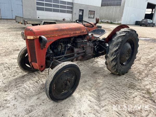 Veterantraktor Ferguson