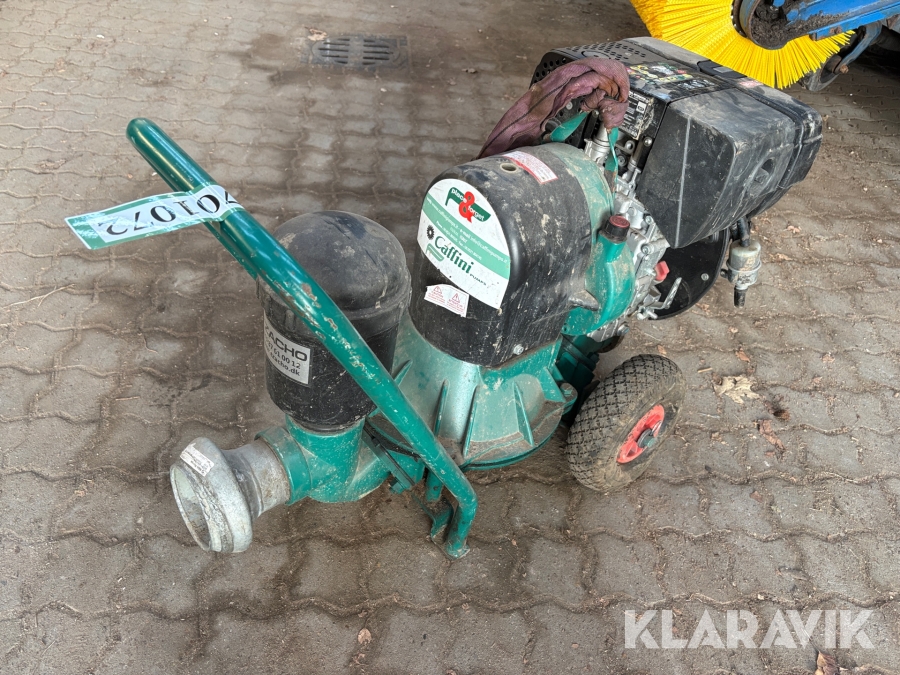 Vandpumpe Caffini 1B20-X