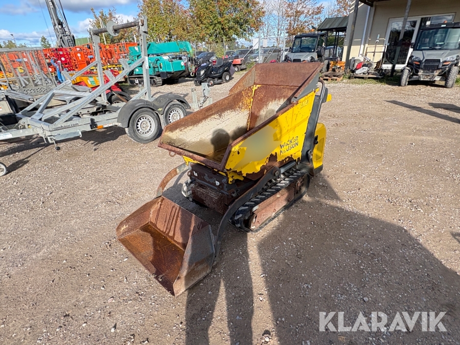 Bælte­dumper Wacker Neuson DT 08