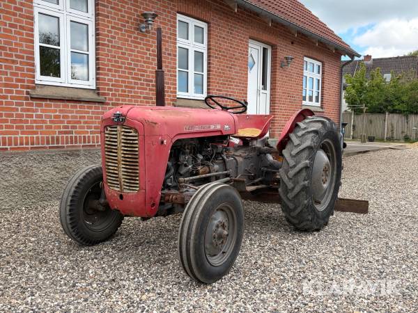 Veterantraktor Massey-Ferguson 35
