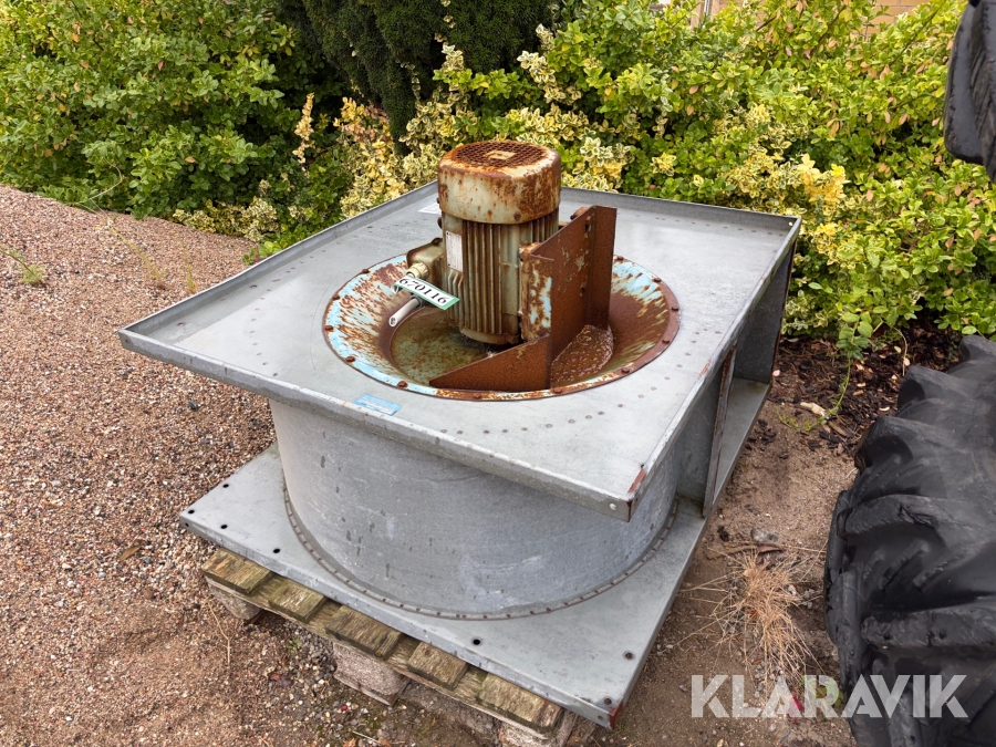 Kornblæser Kongskilde Palm mekano FBLB 1-55-H1