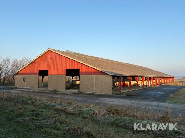 Hal 28,1 x 66,6 meter