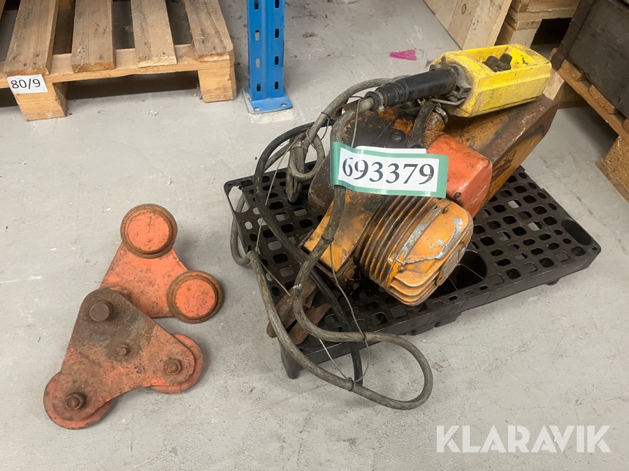 El krantalje Bae med løbekat.