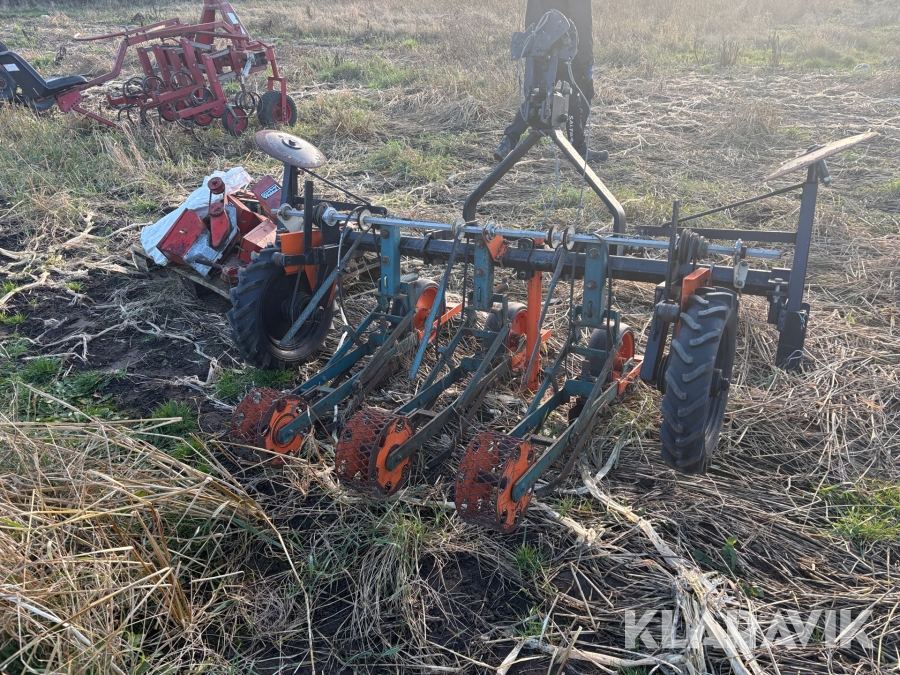 En korns såmaskine til løg og græskar