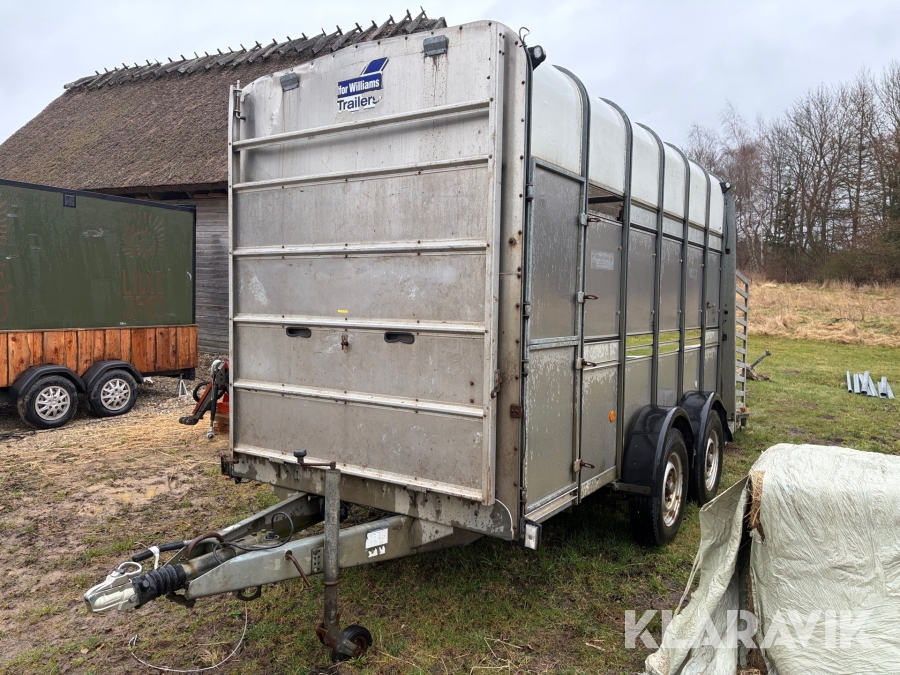 Kreaturtrailer Ifor williams TA510G