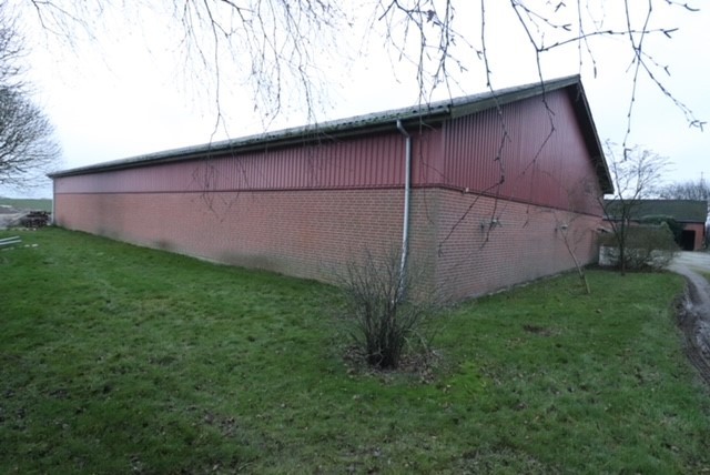 Stålhal/ Stålspær