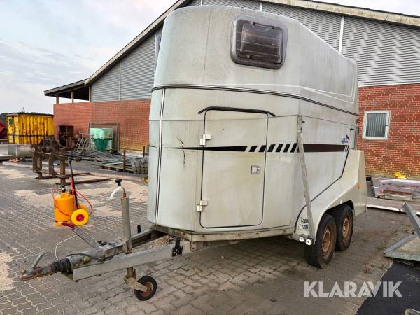 Hestetrailer Marosselandia Big Star