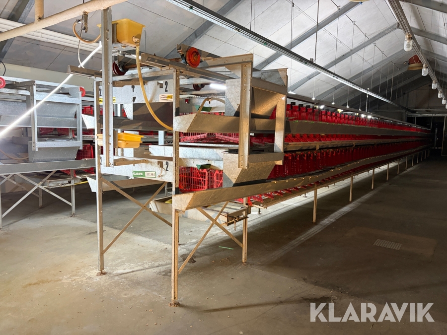 Produktionslinje Landmeco æglægger system