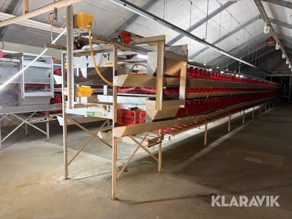 Produktionslinje Landmeco æglægger system