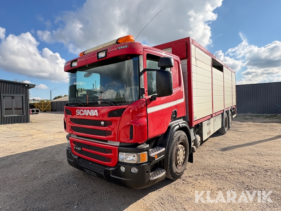 Lastbil Scania P440 dyretransport