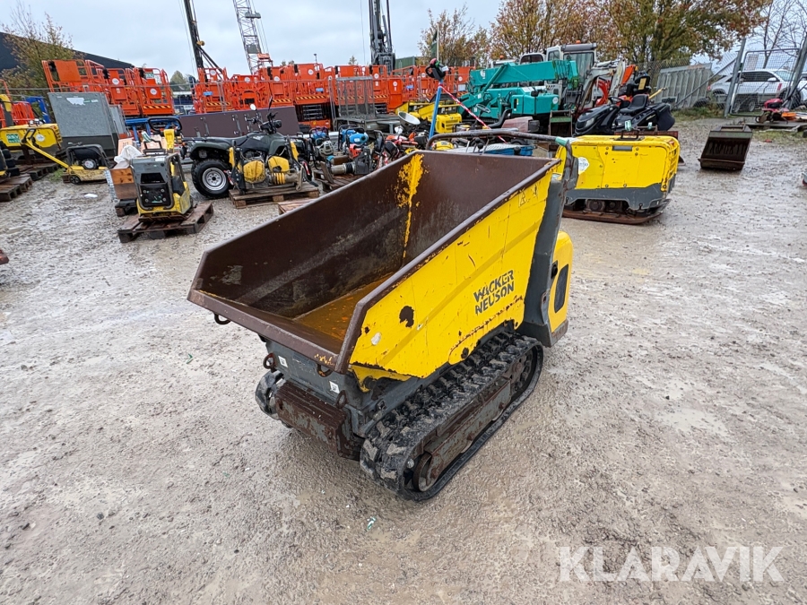Bæltedumper Wacker Neuson DT08P