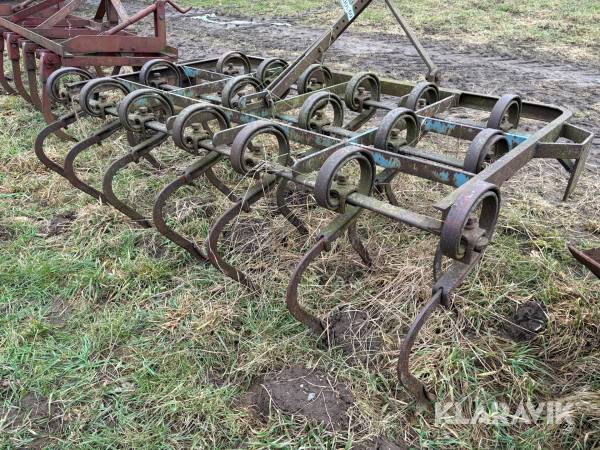 Markharve / ringharve