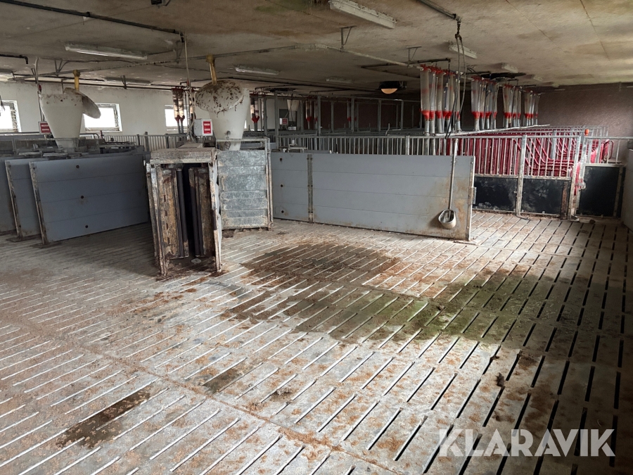 Komplet grisestald alt inventar medfølger