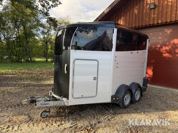 Hestetrailer Ifor Williams HBX 511