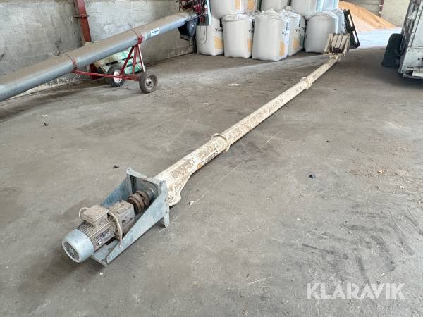 Kornsnegl Damas - 8 m