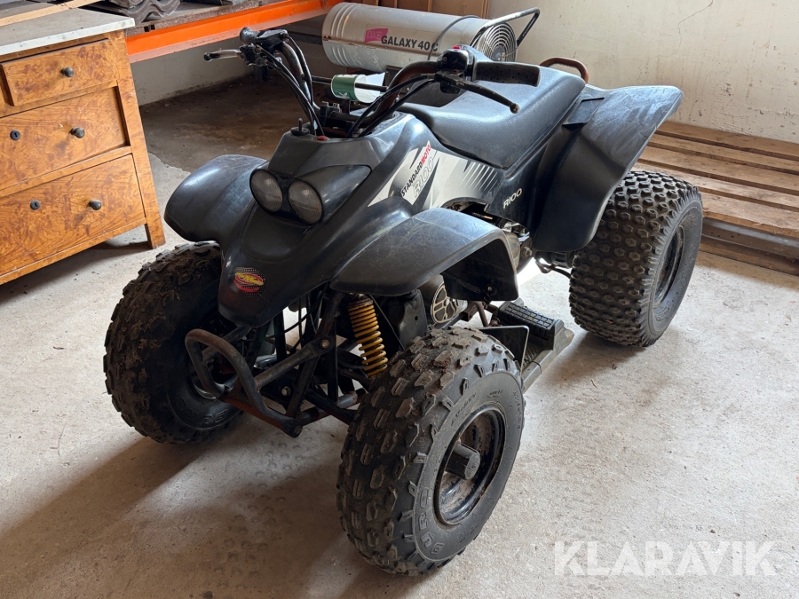 Mini Atv Standardmoto R100