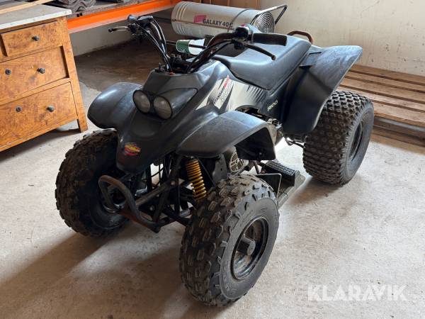 Mini Atv Standardmoto R100