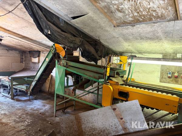 Kartoffelsorteringsanlæg Bording Combi Sorter 
