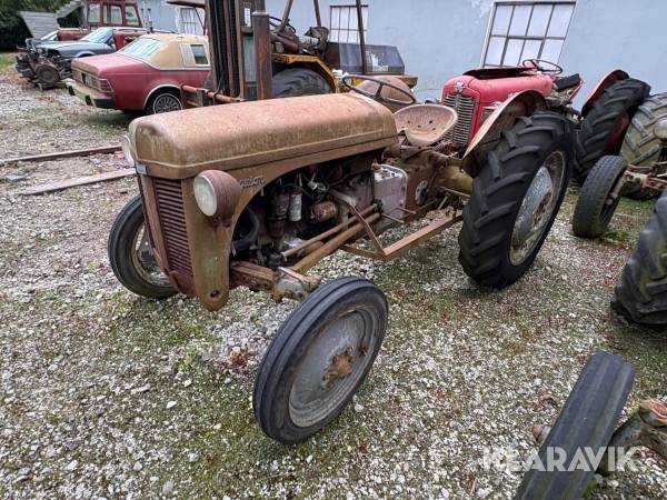 Veterantraktor Massey-Ferguson