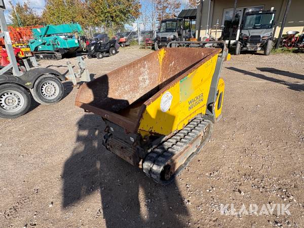 Bælte­dumper Wacker Neuson DT 08