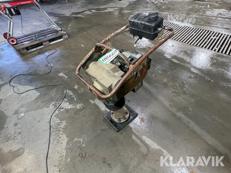 Jordloppe Delko AX54