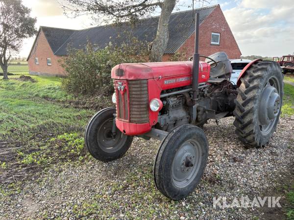 Veterantraktor Massey Ferguson 65